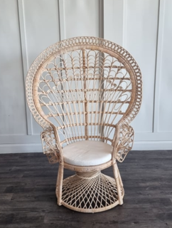Royal Peacock Chair - $45