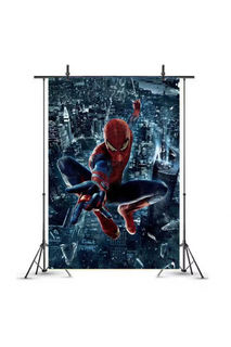 Spiderman Backdrop #2 - $25 DIY